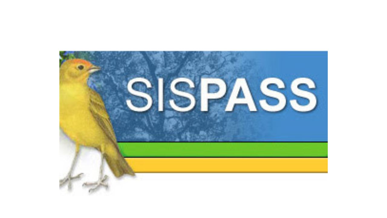 sispass-login-pagamento-de-boleto SISPASS Login: Pagamento de Boleto 2024