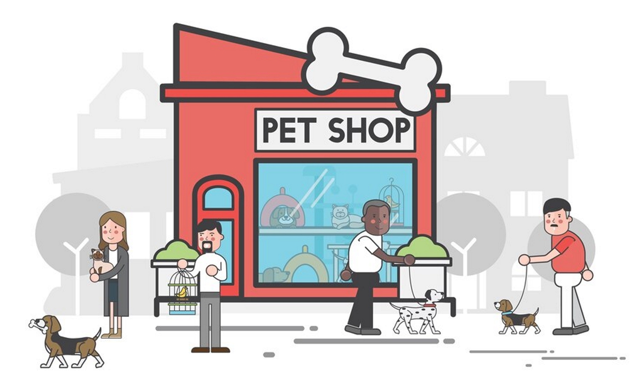 sistema-para-pet-shop O que empreender no mercado pet?