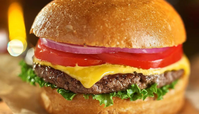 qual-a-melhor-marca-de-hamburguer-melhores Qual a melhor marca de hambúrguer? 8 melhores de 2024
