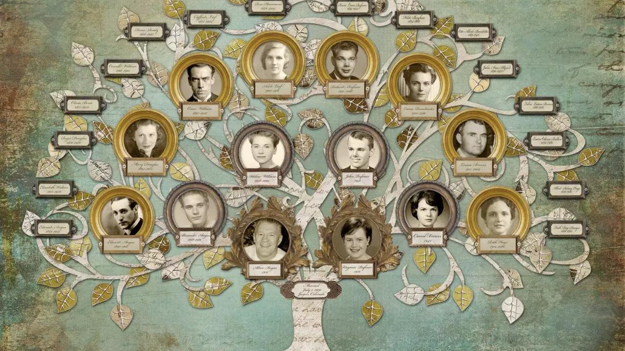 como-saber-a-arvore-genealogica Como saber a árvore genealógica?