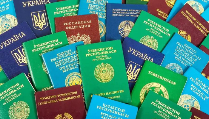 quais-diferencas-das-cores-do-passaporte Quais as diferenças das cores do passaporte?