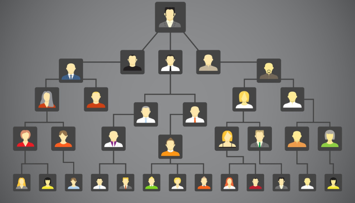 saber-a-arvore-genealogica Como saber a árvore genealógica?